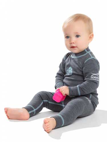 ����� � ���������� Norveg Soft.