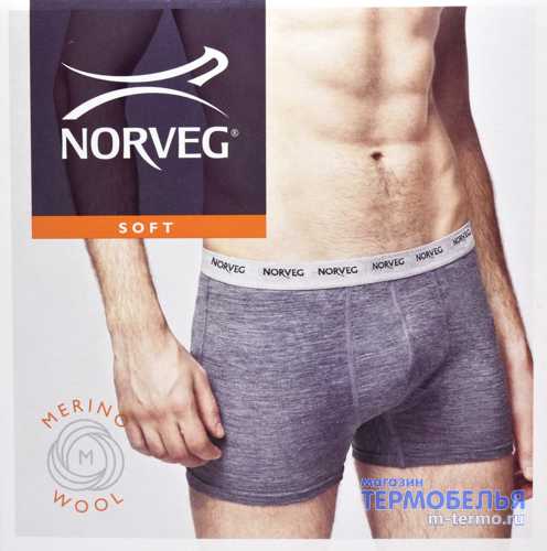 ��������� ������� �������-������� ���������� Norveg Soft