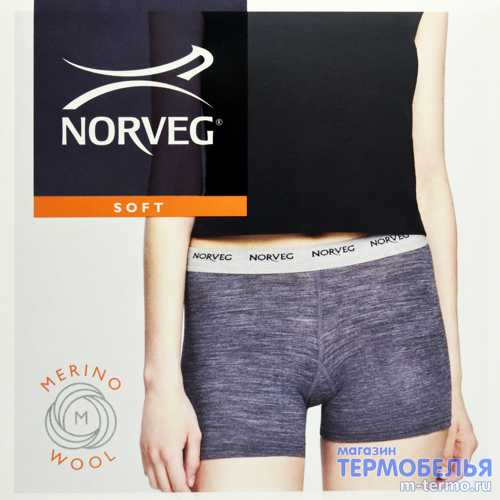 ��������� ������� �������-������� ���������� NORVEG Soft