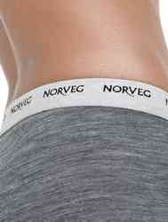 ��������� ���� ���� ������� ����� ������� �������� ���������� NORVEG Soft.